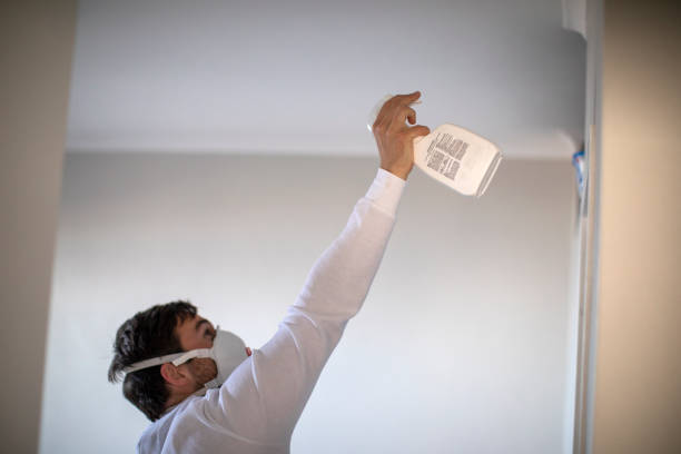  Lowell, MI Mold Removal Pros